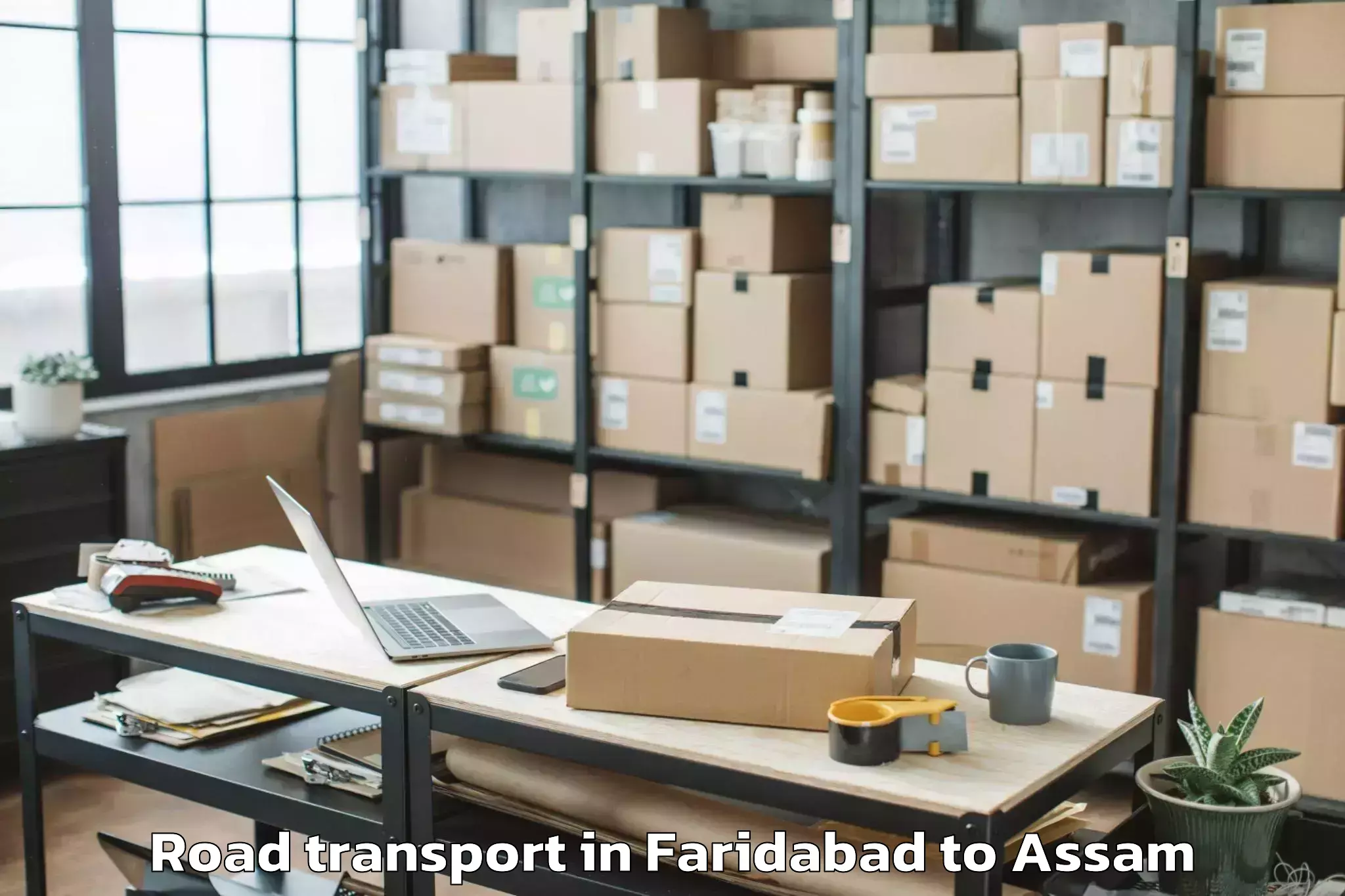 Top Faridabad to Silchar Airport Ixs Road Transport Available